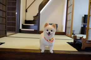 Mibu Dodan-Momiji - Vacation STAY 33956v